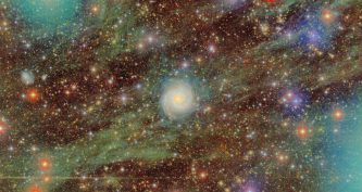 Спіральна галактика Messier 74 і навколишнє поле на знімку телескопа TST