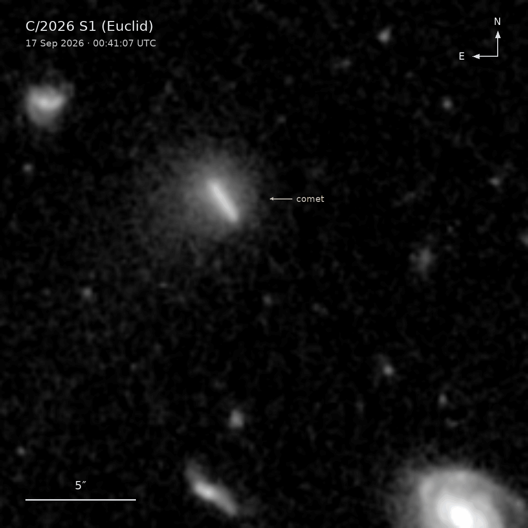 Комета C/2026 S1 (Euclid) на знімках телескопа Euclid