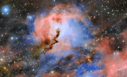IC 2177