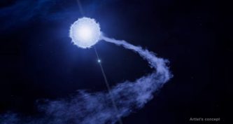 Пульсар поблизу потоку зоряного вітру від масивного компаньйона